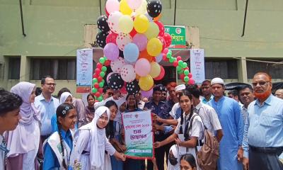 Dc Nazma
