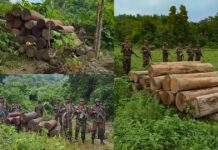 জুরাছড়িতে সেনাবাহিনীর বিশেষ অভিযানে ৯০ লক্ষ টাকার অবৈধ কাঠ জব্দ