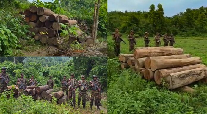 জুরাছড়িতে সেনাবাহিনীর বিশেষ অভিযানে ৯০ লক্ষ টাকার অবৈধ কাঠ জব্দ