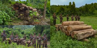 জুরাছড়িতে সেনাবাহিনীর বিশেষ অভিযানে ৯০ লক্ষ টাকার অবৈধ কাঠ জব্দ