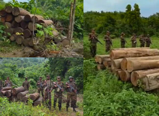 জুরাছড়িতে সেনাবাহিনীর বিশেষ অভিযানে ৯০ লক্ষ টাকার অবৈধ কাঠ জব্দ