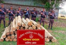 মারিশ্যা জোনের অভিযানে মালিকবিহীন ৪৬ ঘনফুট সেগুন কাঠ উদ্ধার, চোরাচালান দমনে কঠোর অবস্থানে বিজিবি
