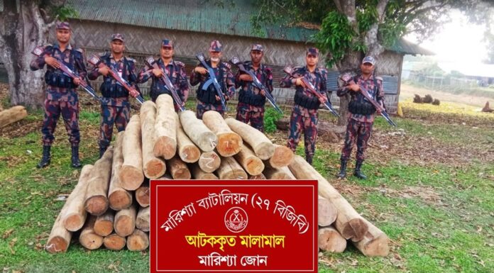 মারিশ্যা জোনের অভিযানে মালিকবিহীন ৪৬ ঘনফুট সেগুন কাঠ উদ্ধার, চোরাচালান দমনে কঠোর অবস্থানে বিজিবি