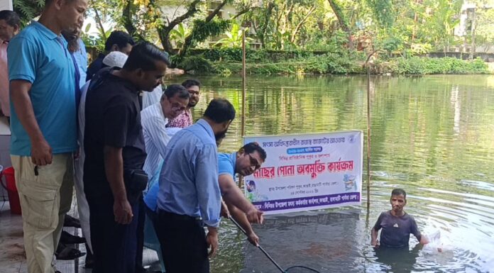 কাপ্তাইয়ে ১৬ প্রাতিষ্ঠানিক পুকুরে ১৮৫ কেজি কার্পজাতীয় মাছের পোনা অবমুক্ত